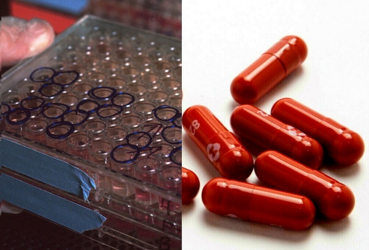 Asl, anticorpi monoclonali e pillola anti Covid: il vademecum sulle nuove terapie anti Covid